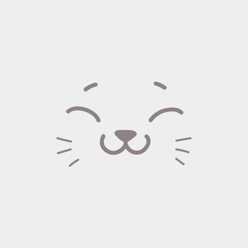 Arow Du Val de Brenne Mâle British Shorthair