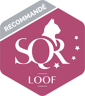 SQR : Recommandé