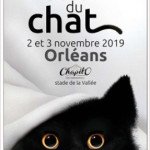 orleans 2019 orleans 2019