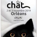 orleans 2019